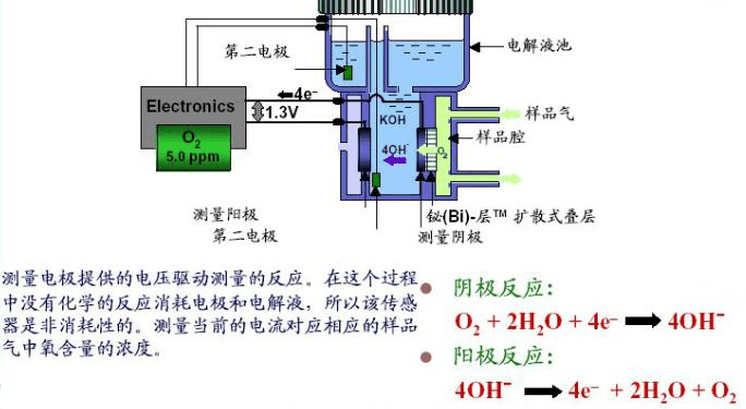 防爆氧分析系统测量原理.png